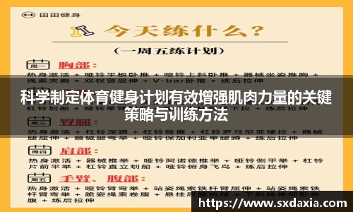 科学制定体育健身计划有效增强肌肉力量的关键策略与训练方法